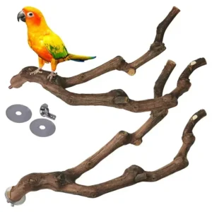 Pet Standing Stick Bird Cage Accessories