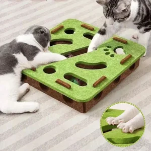 Pet Cat Puzzle