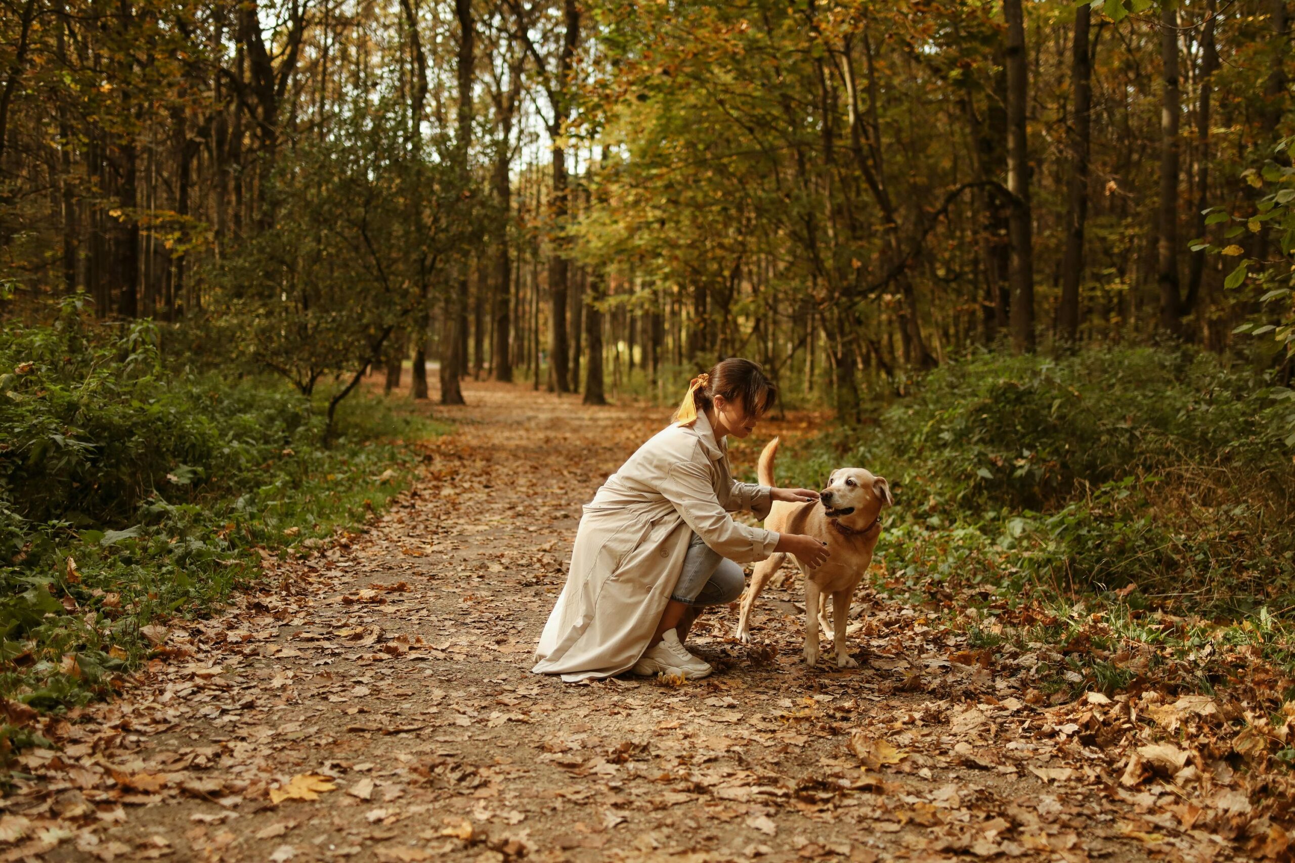 A woman kneels petting her dog on a forest path, surrounded by autumn leaves.