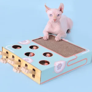 Cat Game Box Maze
